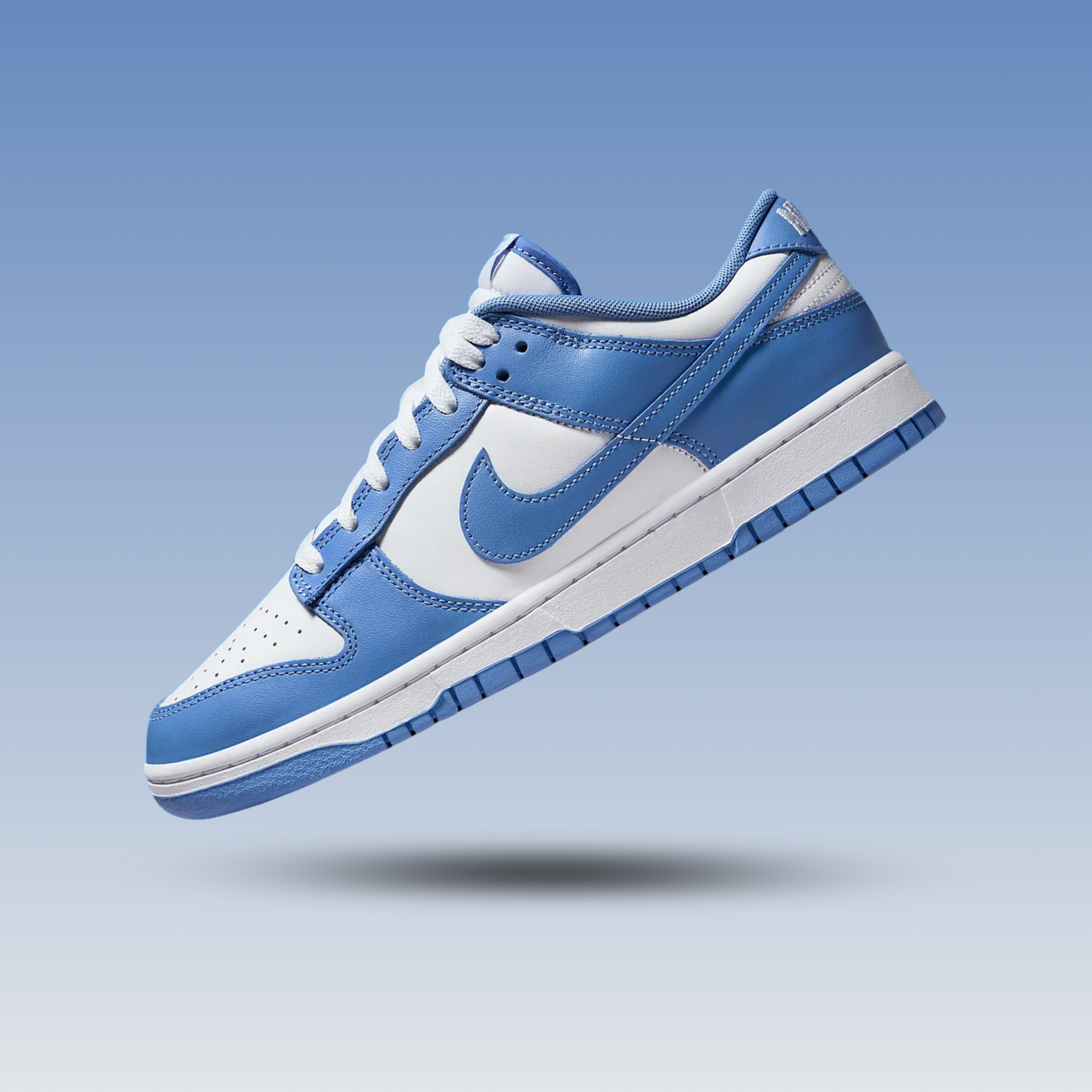Nike Dunk Low Polar Blue