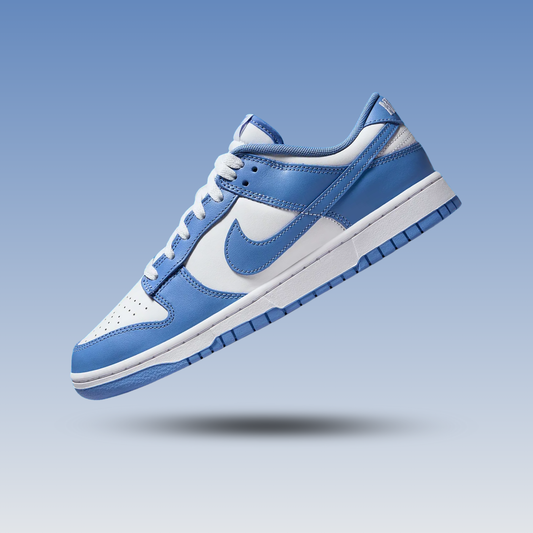 Nike Dunk Low Polar Blue