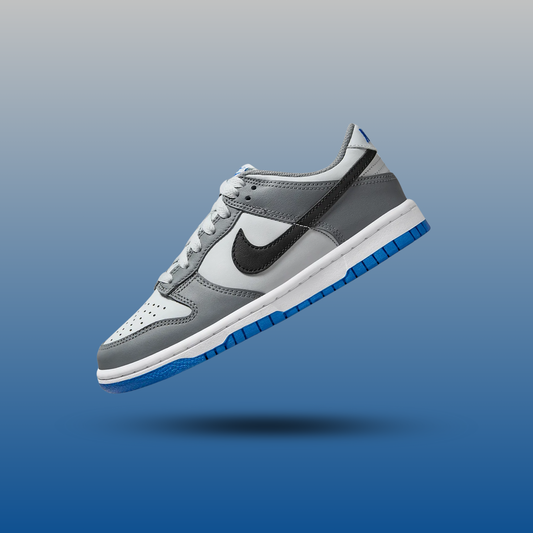 Nike Dunk Low Cool Grey Light Photo Blue (GS)